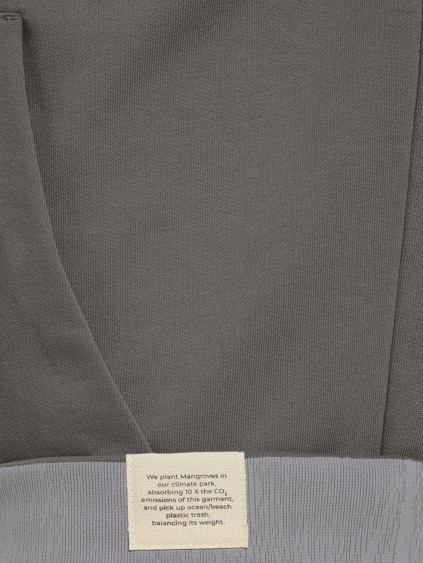 SUSTAIN THE PLANET HOODIE