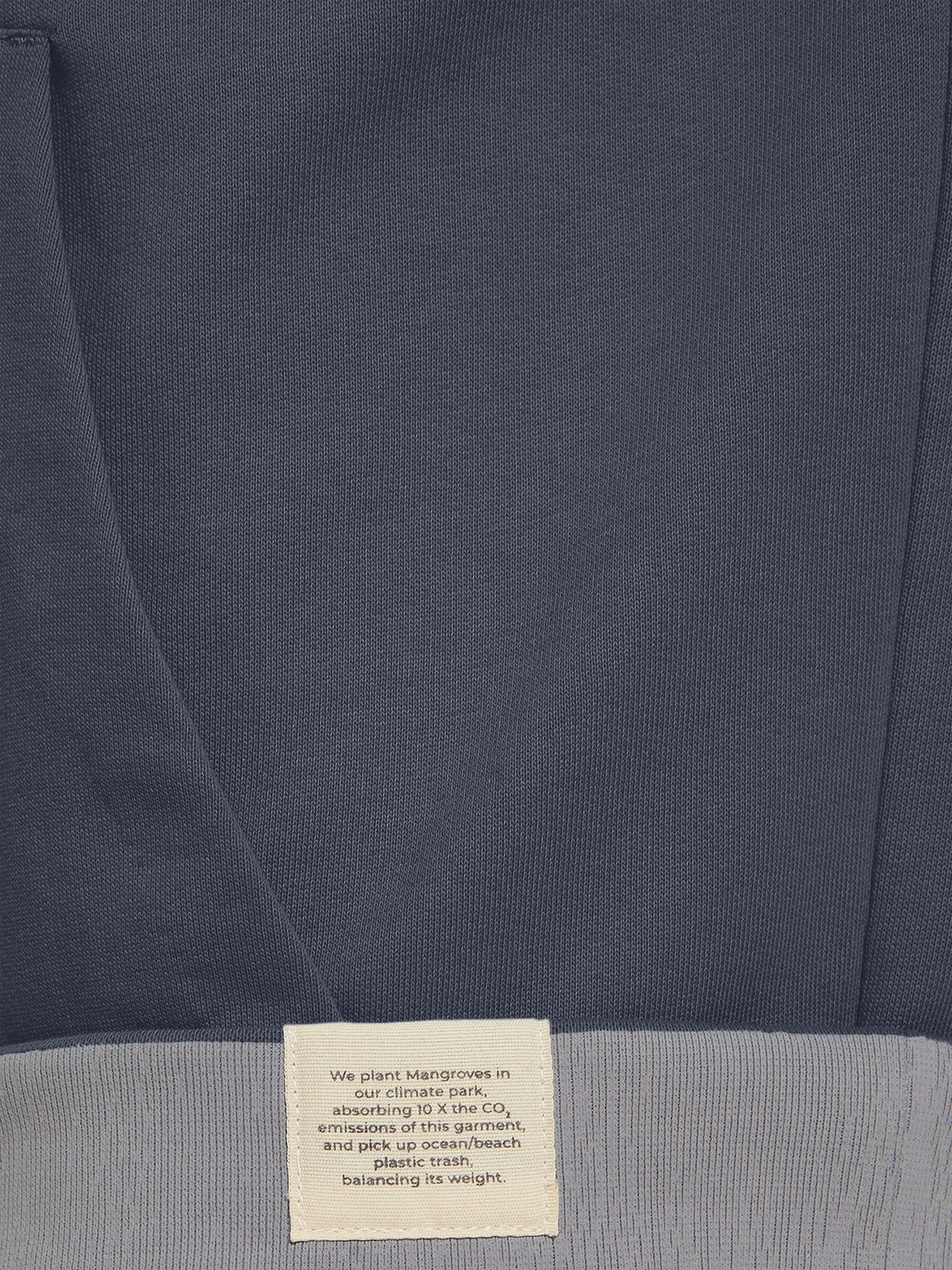 SUSTAIN THE PLANET HOODIE